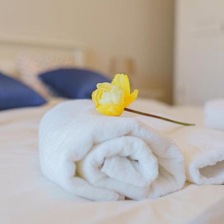 5* Mansion In City Center Cluj-Napoca Esterno foto